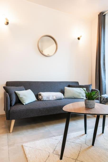 Belle Etoile Et Son Garage Prive Apartment Albertville Bagian luar foto