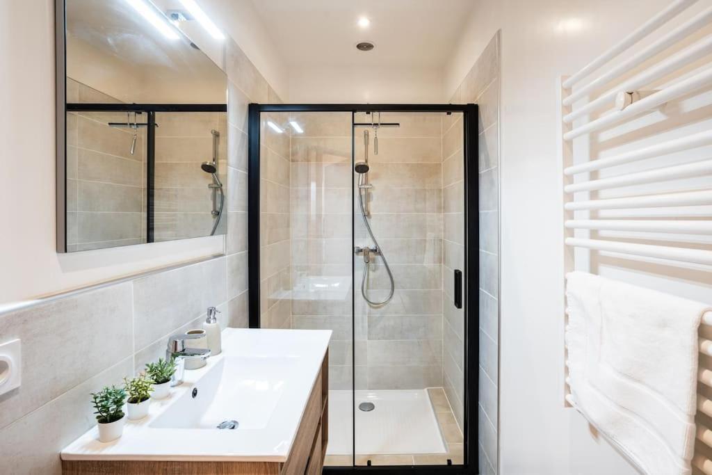Belle Etoile Et Son Garage Prive Apartment Albertville Bagian luar foto